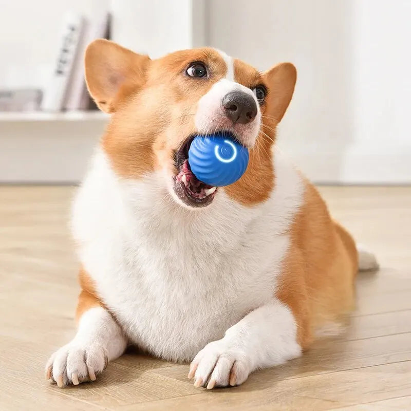 Dog Toys Intelligent Gravity Jump Ball Rechargeable