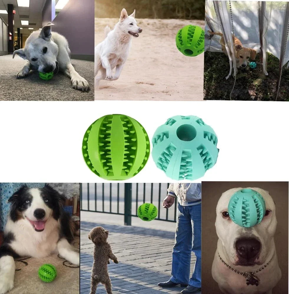 Dog Food Ball Pet Dog Toy