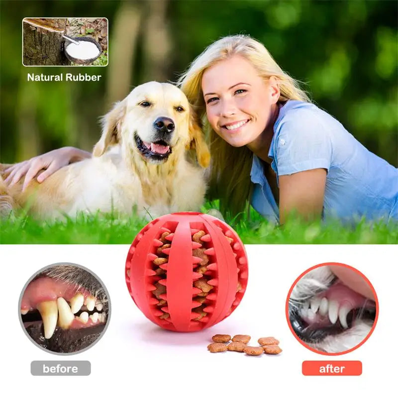 Dog Food Ball Pet Dog Toy