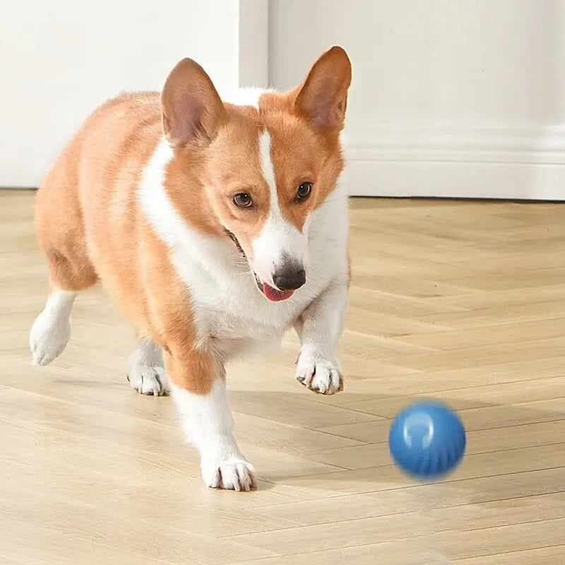 Dog Toys Intelligent Gravity Jump Ball Rechargeable